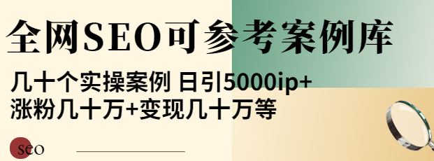 优秀网站SEO实操案例, 日引5000ip+涨粉百W+变现几十W-虚拟货源网