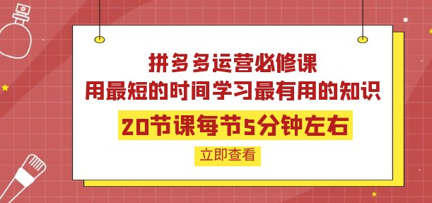 拼多多开店运营课程：用最短的时间学好拼多多运营-虚拟货源网