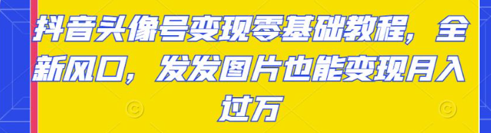 抖音头像号变现项目零基础教程：发发图片也能月入过万-虚拟货源网