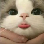 恰饭319的头像-虚拟货源网